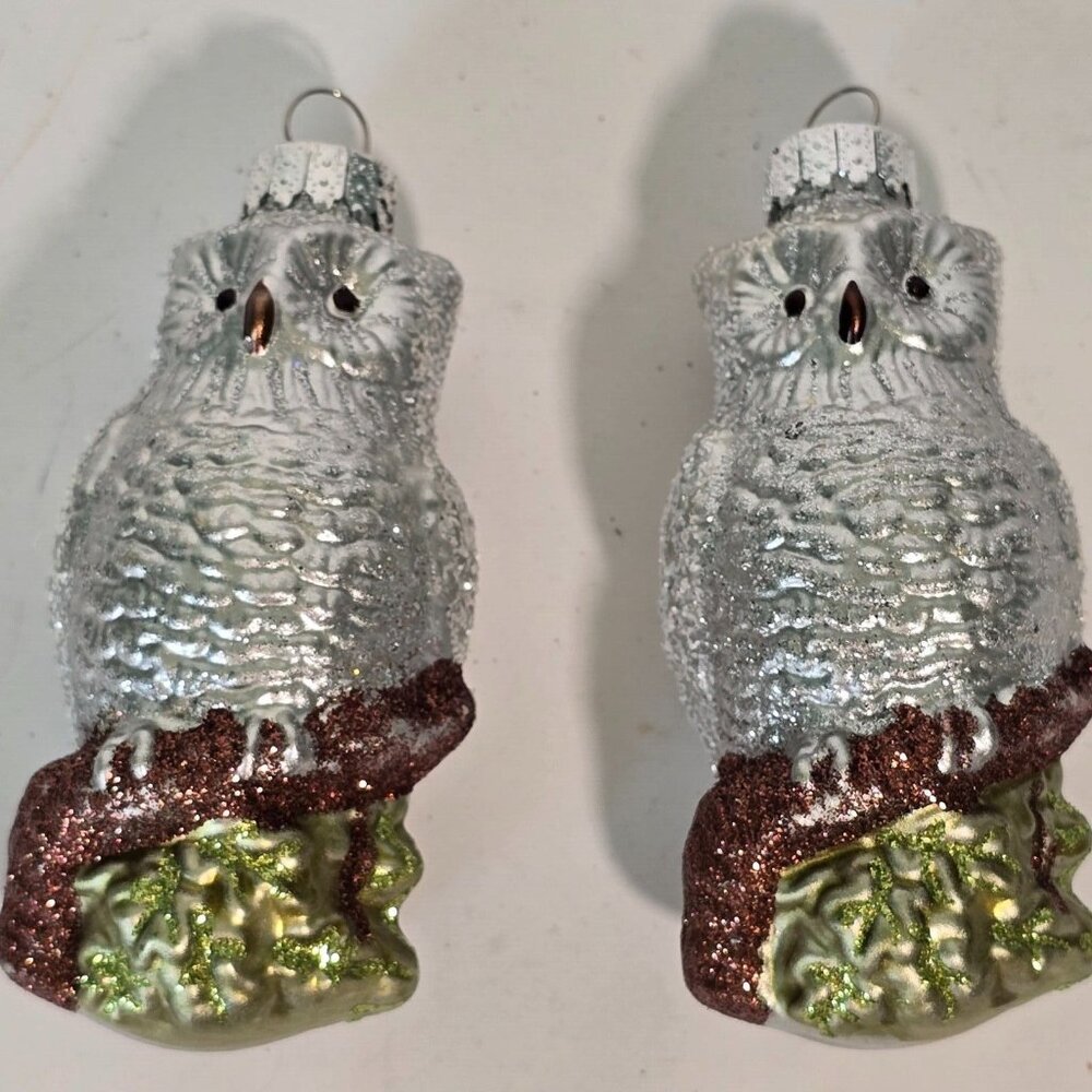Glass Owl Christmas Ornament Set Unique Treasures Silver Birds Holiday Hanging